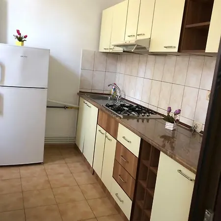 Garsoniera Alexandra Apartment *